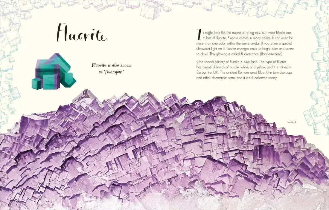 The Wonders of Nature US - Hardback