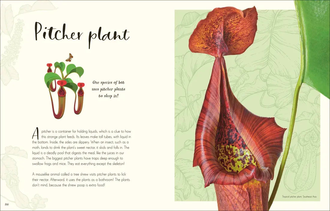 The Wonders of Nature US - Hardback