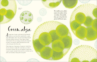 The Wonders of Nature US - Hardback