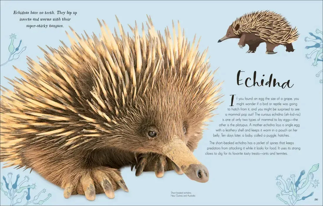 The Wonders of Nature US - Hardback