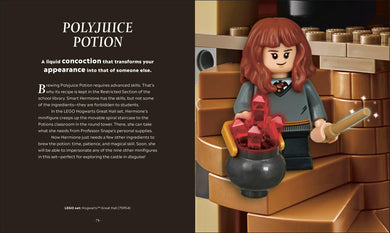 LEGO Harry Potter The Magical Guide to the Wizarding World US - Hardback