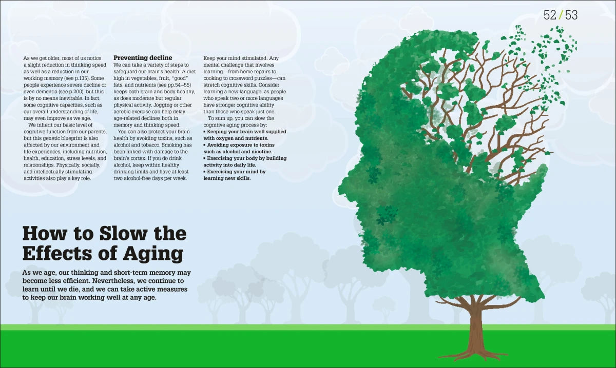 How the Brain Works US - Hardback