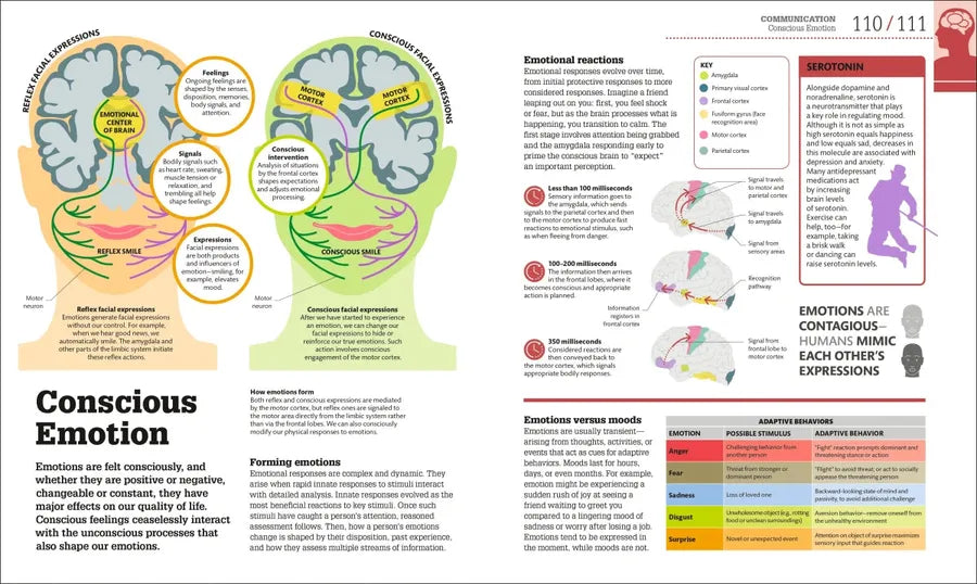How the Brain Works US - Hardback