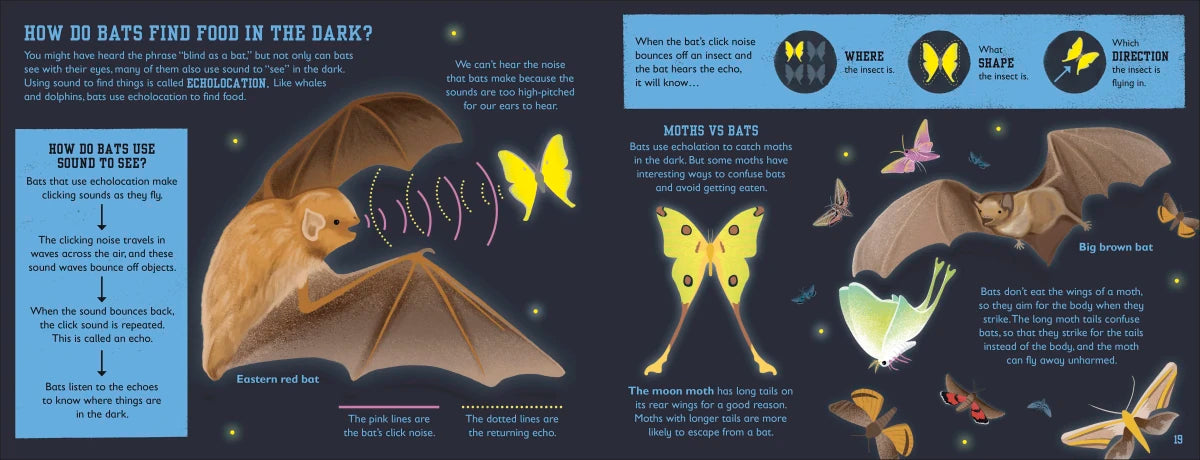 The Bat Book US - Hardback
