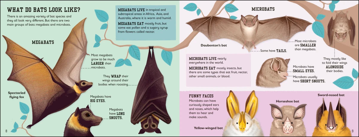 The Bat Book US - Hardback