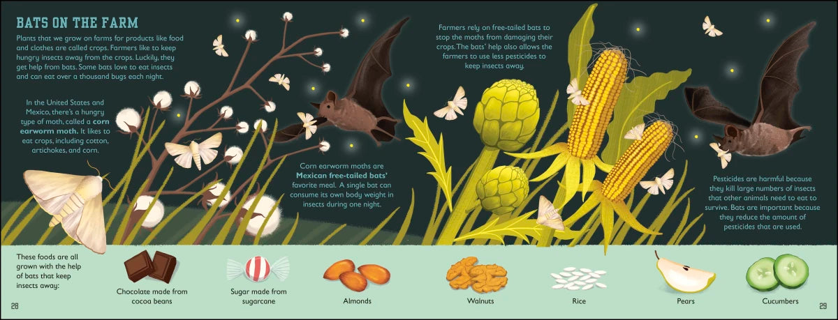 The Bat Book US - Hardback