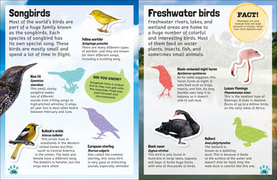 Sticker Encyclopedia Animals US - Paperback / softback