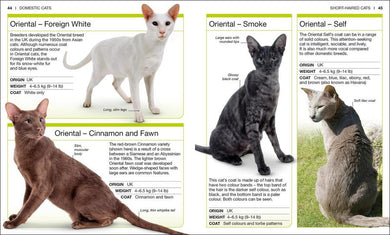 Pocket Genius: Cats US - Paperback / softback
