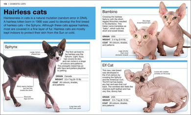Pocket Genius: Cats US - Paperback / softback