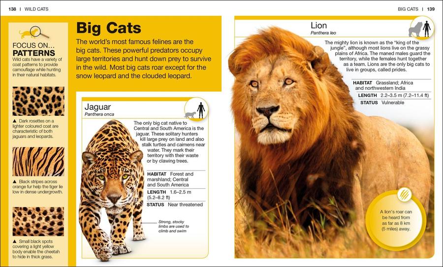 Pocket Genius: Cats US - Paperback / softback