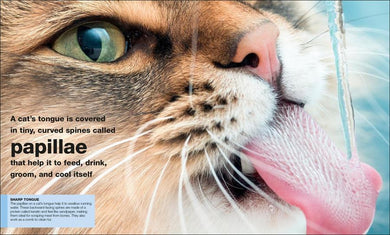 Pocket Genius: Cats US - Paperback / softback