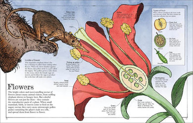 Mammoth Science US - Hardback