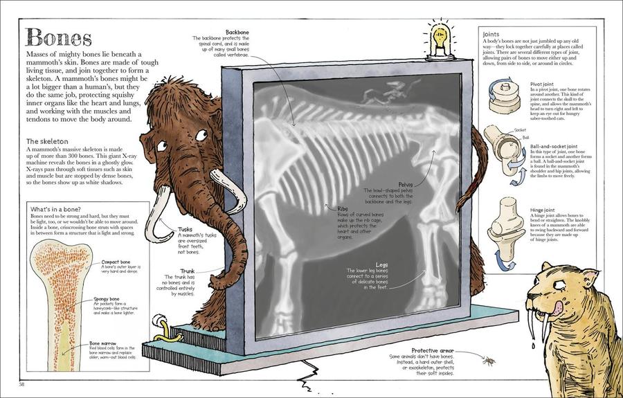 Mammoth Science US - Hardback