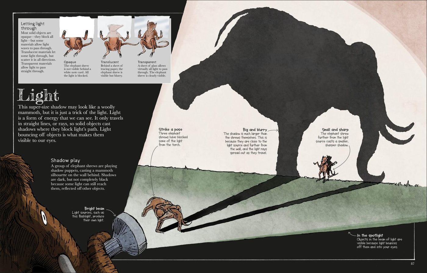 Mammoth Science US - Hardback