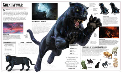 Dungeons and Dragons The Legend of Drizzt Visual Dictionary US - Hardback