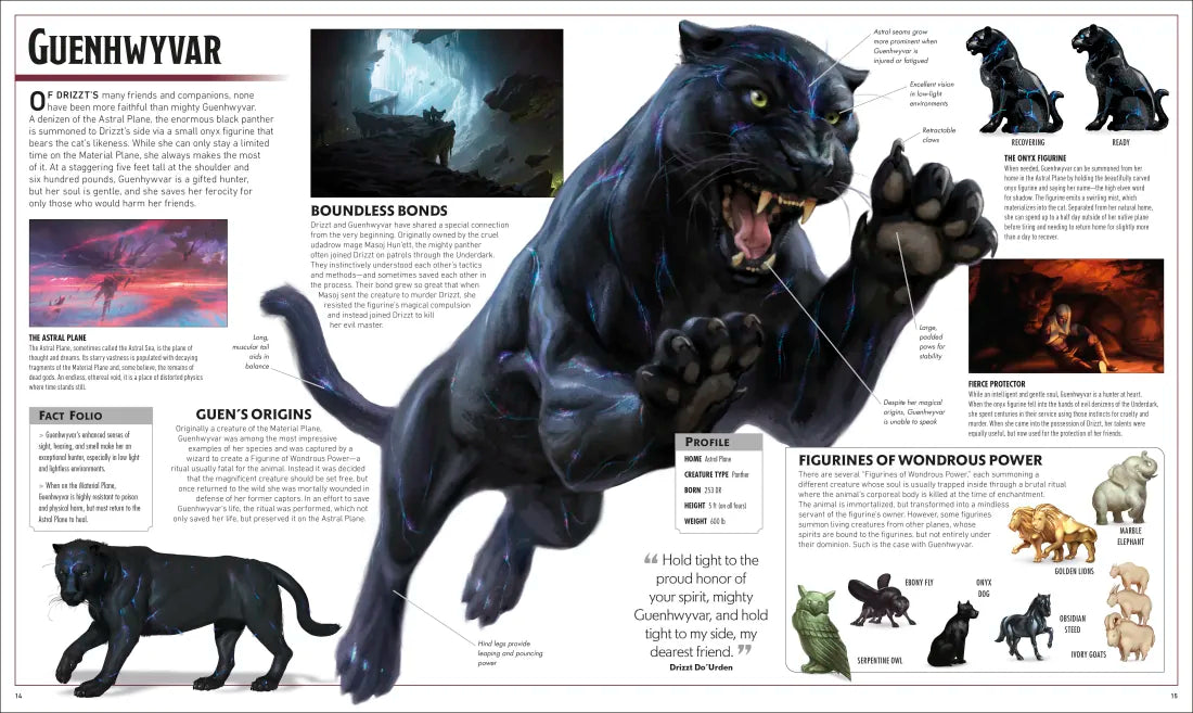 Dungeons and Dragons The Legend of Drizzt Visual Dictionary US - Hardback