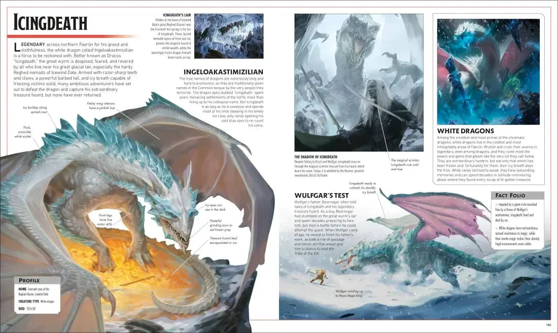 Dungeons and Dragons The Legend of Drizzt Visual Dictionary US - Hardback