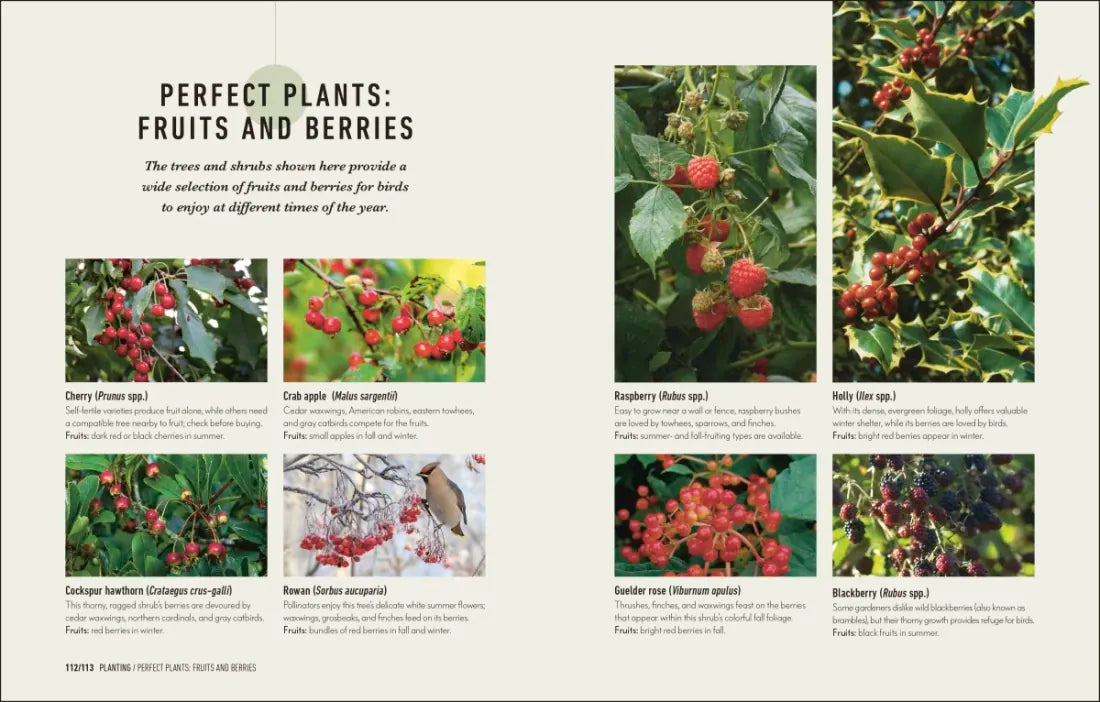 How to Attract Birds to Your Garden US - Hardback