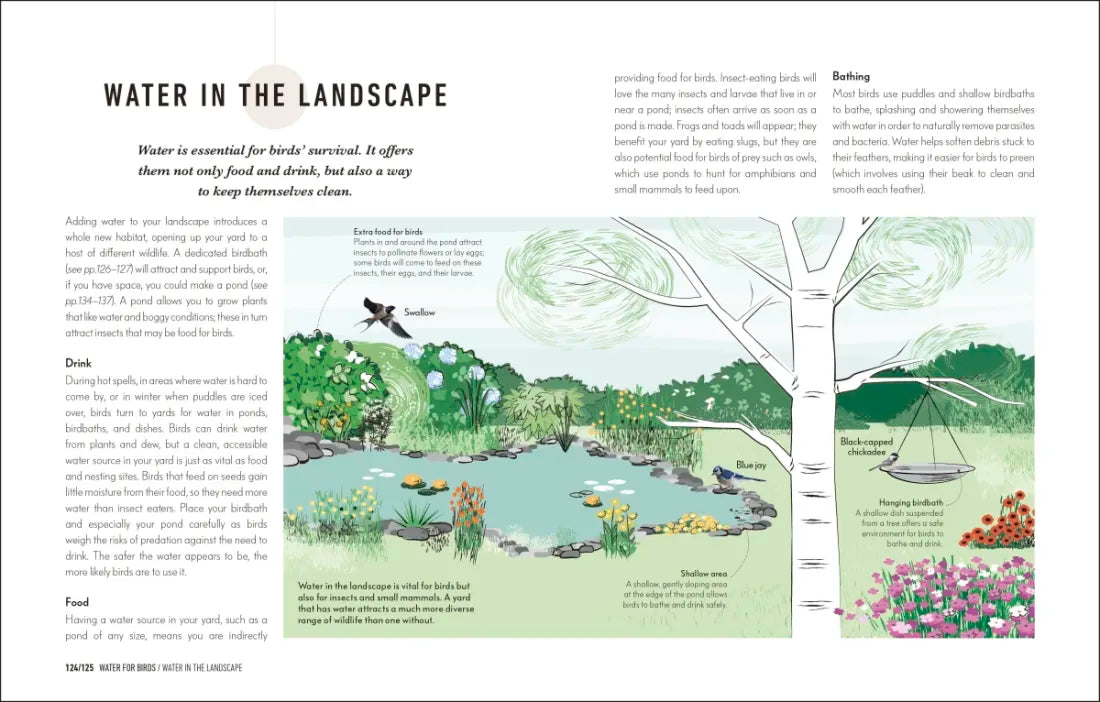How to Attract Birds to Your Garden US - Hardback