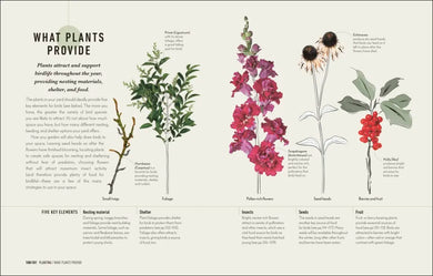 How to Attract Birds to Your Garden US - Hardback