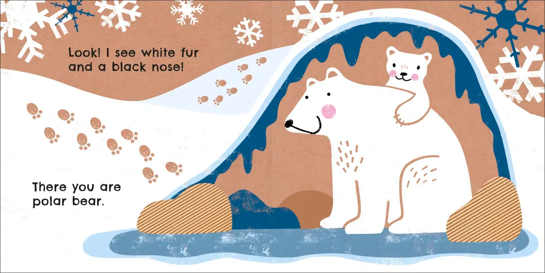 Eco Baby Where Are You Polar Bear? US - Board book