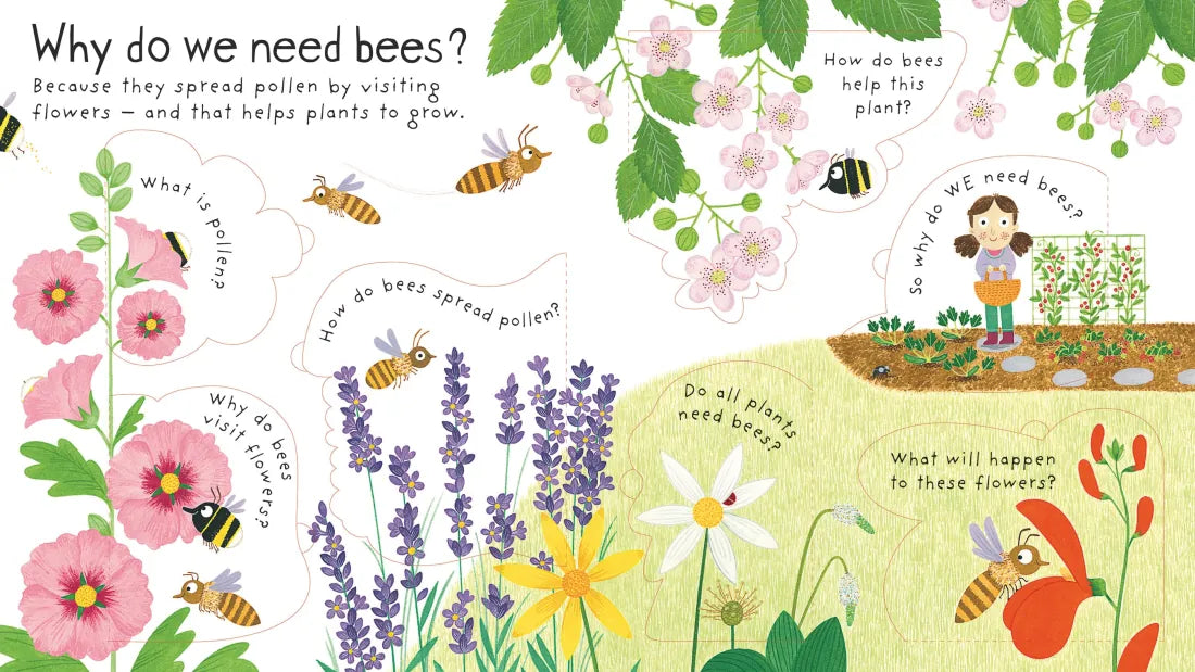 First Questions and Answers: Why do we need bees? GB - Board book