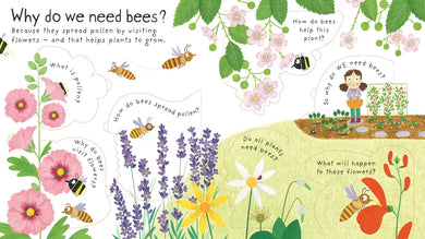 First Questions and Answers: Why do we need bees? GB - Board book
