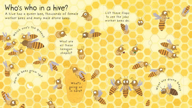 First Questions and Answers: Why do we need bees? GB - Board book
