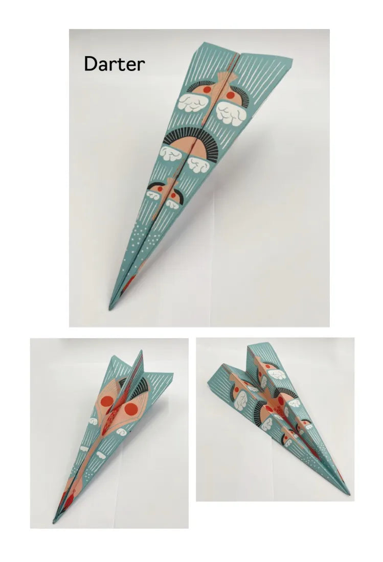 100 Birds to Fold and Fly GB - Paperback / softback