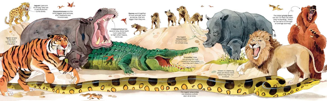 Big Book of Animals GB - Hardback
