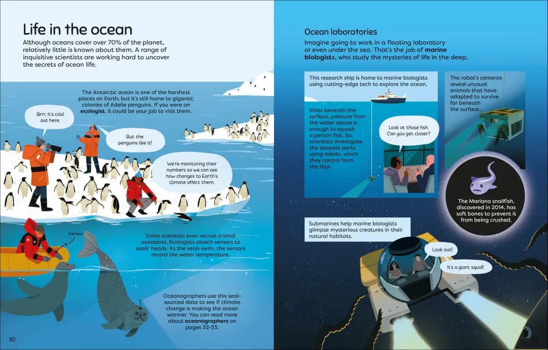 What Do Scientists Do? GB - Hardback