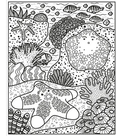 Coral Reef Magic Painting Book GB - Paperback / softback