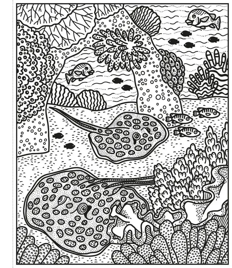 Coral Reef Magic Painting Book GB - Paperback / softback