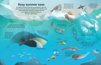 Extreme Planet: Journey across the Arctic GB - Board book