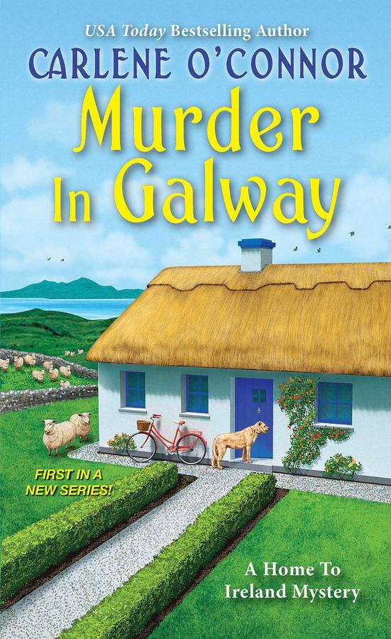 Murder in Galway-Fiction: Crime and mystery-買書書 BuyBookBook