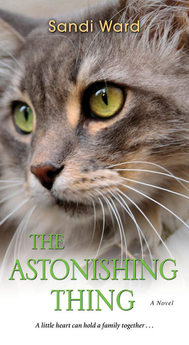 The Astonishing Thing-Fiction: Family life-買書書 BuyBookBook