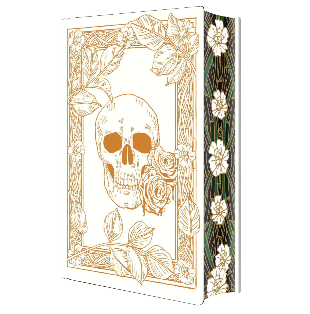 Rain of Shadows and Endings: Deluxe Limited Edition US - Hardback