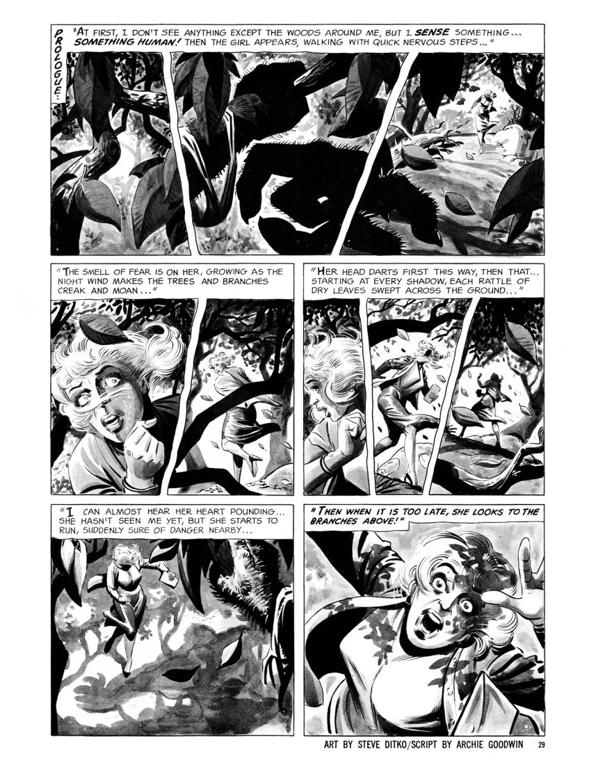 Creepy Presents: Steve Ditko US - Paperback / softback