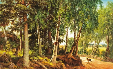 The Eyes and the Impossible US - Hardback (9781524764203)