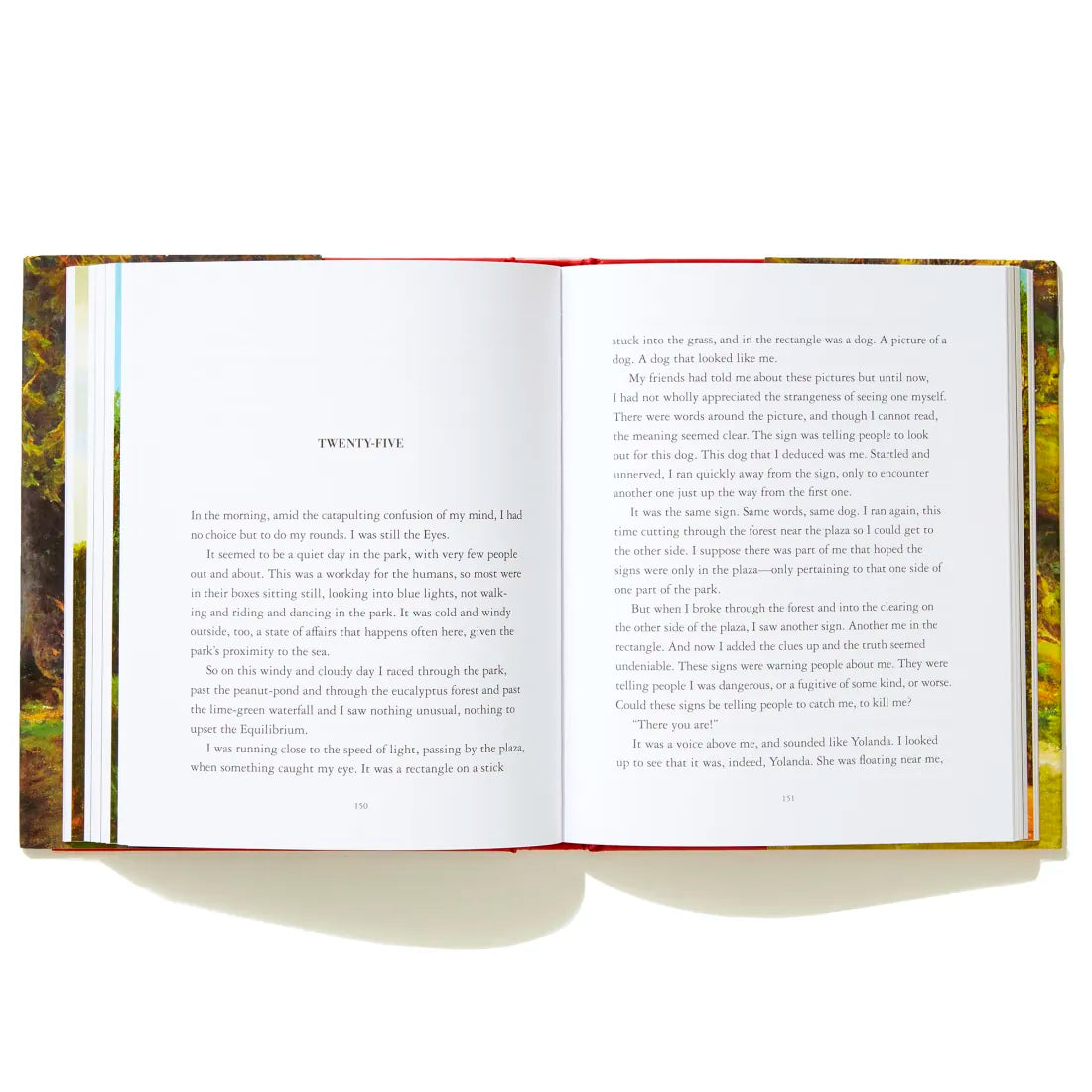 The Eyes and the Impossible US - Hardback (9781524764203)