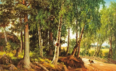 The Eyes and the Impossible US - Paperback / softback