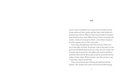 The Eyes and the Impossible US - Paperback / softback