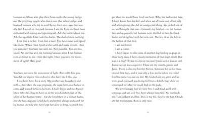 The Eyes and the Impossible US - Paperback / softback