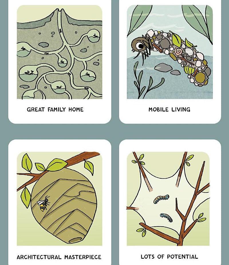 Burt the Beetle #02 Burt the Beetle Lives Here! (Ashley Spires)-Fiction: 幽默搞笑 Humorous-買書書 BuyBookBook