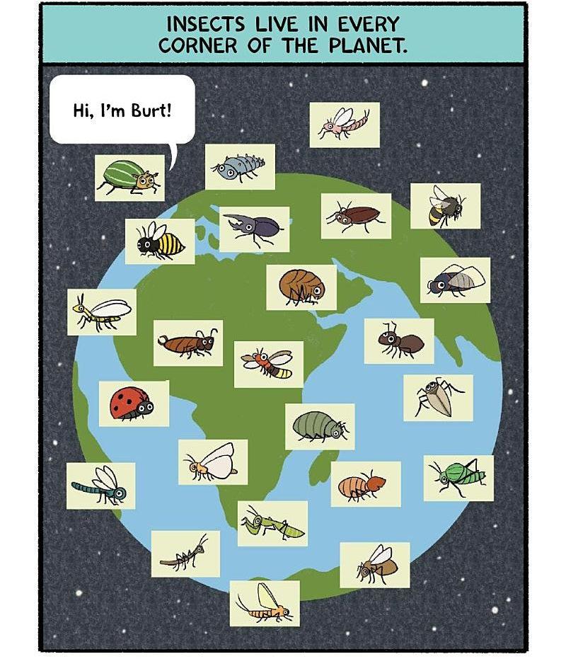 Burt the Beetle #02 Burt the Beetle Lives Here! (Ashley Spires)-Fiction: 幽默搞笑 Humorous-買書書 BuyBookBook