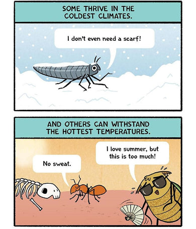 Burt the Beetle