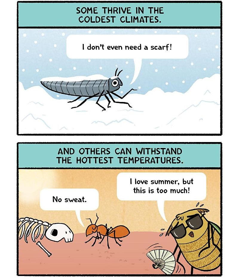 Burt the Beetle #02 Burt the Beetle Lives Here! (Ashley Spires)-Fiction: 幽默搞笑 Humorous-買書書 BuyBookBook