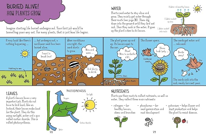 Comic Strip Science Series 4 Books Collection Set By Paul Mason (Biology, Physics, Earth and Space & Chemistry)