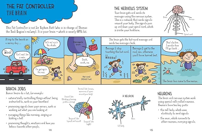 Comic Strip Science Series 4 Books Collection Set By Paul Mason (Biology, Physics, Earth and Space & Chemistry)