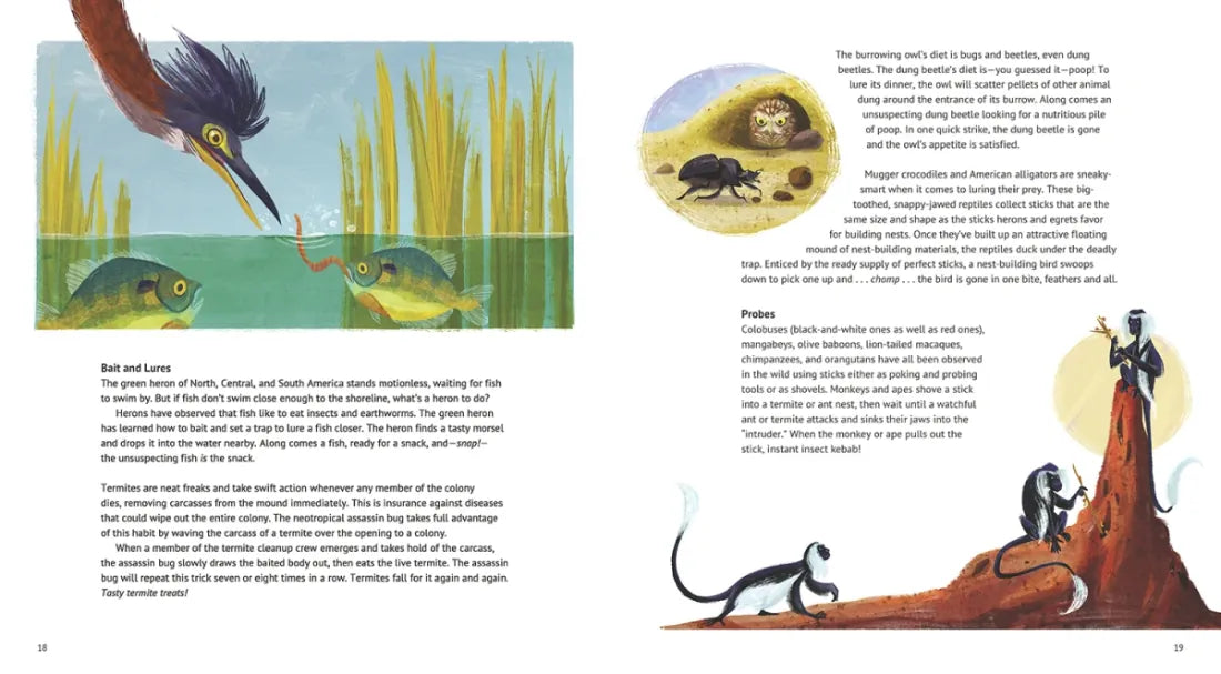Orangutan Hats and Other Tools Animals Use US - Hardback